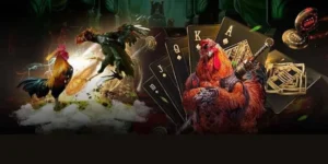 Hướng Dẫn Cách Chơi Đá Gà GA28 Tại MMLive Chi Tiết Nhất