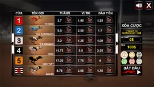 Bí Kíp Soi Kèo Đua Chó MMLive Chuẩn Xác Như Chuyên Gia