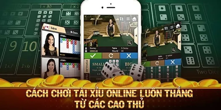Hé Lộ Cách Chơi Tài Xỉu MMLive Ăn Tiền Thật Từ Các Cao Thủ